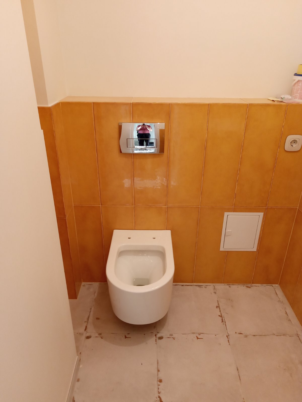 консольный унитаз devit